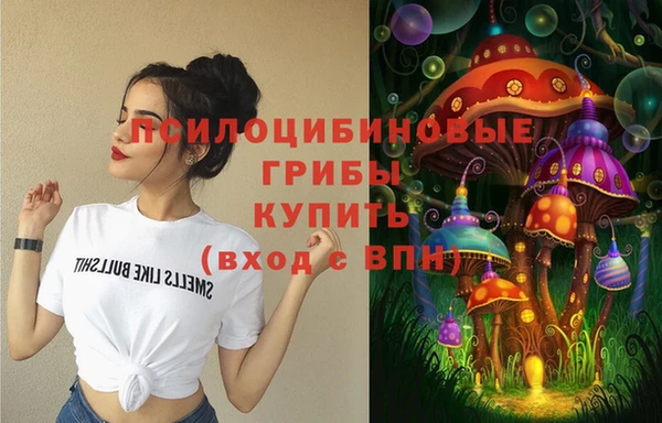 метадон Медвежьегорск